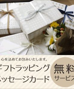 長財布 かぶせ VIA DOAN ヴィアドアン DOLCE ドルチェ ギャルソン ボックス型小銭入れ イタリア製牛革 日本製 レディース 251 動画あり