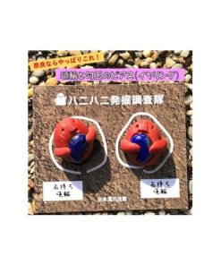 ふるさと納税 アクセサリー 奈良県 橿原市 埴輪と勾玉のイヤリング｜アクセサリー ピアス イヤリング 埴輪 はにわ 勾玉 奈良 着日指定不可