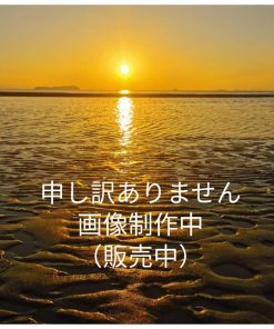 ティアラ 結婚式 キュービックジルコニア 王冠 ウエディング ブライダル tiara 髪飾り ft8119plsr