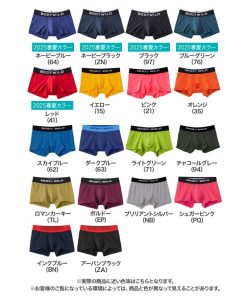 BODY WILD グンゼ ボクサーパンツ メンズ 男性下着 ローライズ パンツメンズ下着 パンツ ボクサーブリーフ BODYWILD ボディワイルド BW2995P BW2997P