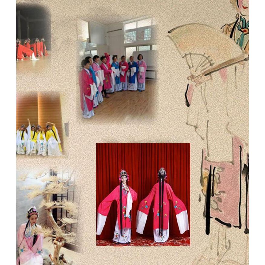 中華コスプレ衣裳 京劇 崑曲 黄梅戯 戯曲 舞台演劇 演出衣装 貴妃 花旦 水袖 振り袖 仮装 変装 全身コスチューム 大人 男女兼用 チャイナ衣裳 中華 華流 趣味 文 - 画像 (7)