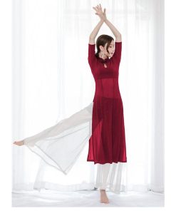 ダンス衣装 トップス パンツ チャイナドレス風 ラメ入り ストレッチメッシュ 透け感 ロング丈 パンツスカート ワイドパンツ ダンス レッスン着 セット