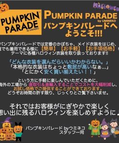 本格 ハロウィン 衣装 コスプレ 仮装 コスチューム お手軽6点セット レディース 花飾り メイド ドレス XL 大きいサイズ 165