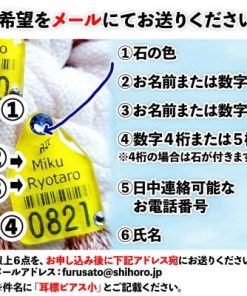 ふるさと納税 士幌町 耳標ピアス　小【U01p】